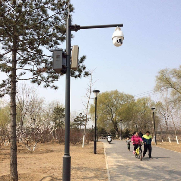 昌都路灯监控杆-LB-03