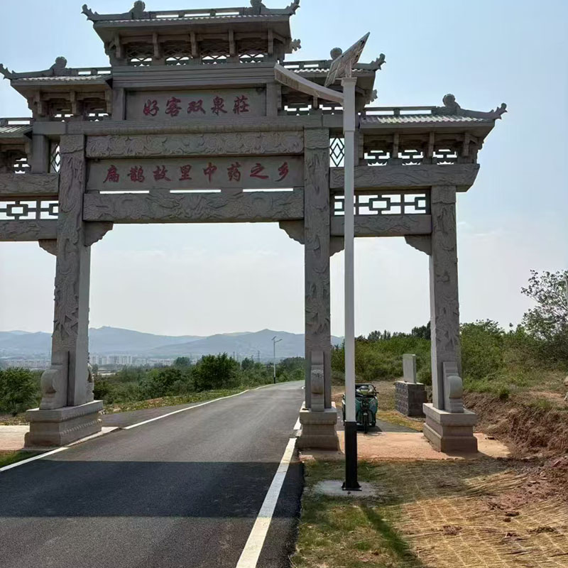 昌都8米太阳能路灯生产厂家