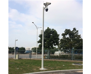 昌都道路监控杆-LB-05