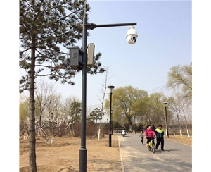 昌都路灯监控杆-LB-03